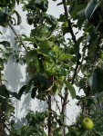IMG_6720.jpeg