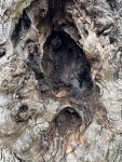 IMG_6721.jpeg