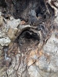 IMG_6722.jpeg