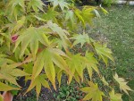 Compress_20250624_094802_2861.jpg