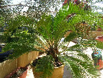 DSCN3259.JPG