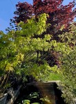 Compress_20250624_094817_7889.jpg