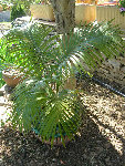 DSCN3260.JPG