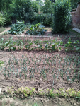 IMG_20250708_163200.png