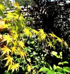 Compress_20250711_120625_5952.jpg