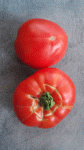 20250713_060432.gif