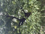 IMG_1240-compressed.jpeg