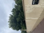 IMG_1239-compressed.jpeg