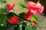 20-07-25 02.JPG