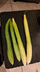 20250720_224046.jpg