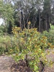 IMG_7026.jpeg