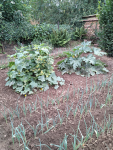 IMG_20250724_084144.png