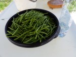 P1080155.JPG