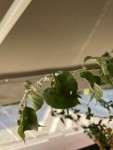 thumbnail_IMG_1560.jpg