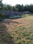 IMG_20250827_093313.png
