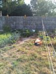 IMG_20250827_094428.png