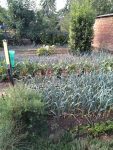 IMG_20250827_094618.png