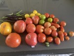 IMG_2624.JPG
