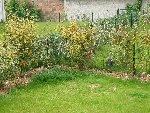 jardin.jpg