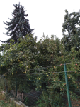 IMG_20250828_092521.png