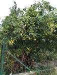 IMG_20250828_092259.png