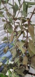 20250830_164758.jpg