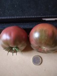 20250906_184301.jpg