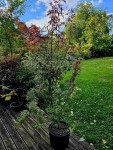 Compress_20250914_100802_2446.jpg