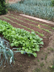 IMG_20250918_154754.png