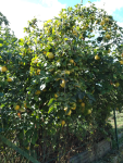 IMG_20250921_160418.png