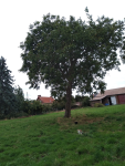 IMG_20250923_101304.png