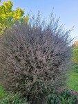 20251005_092430.jpg
