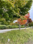 parc.jpg