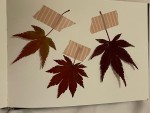 leaf.jpg