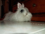 PICT0007.jpg