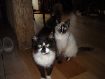 caouette et zion.jpg