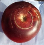 tomate inconnue 1.jpg