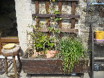 jardiniere.jpg