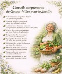 pour le jardin.jpg