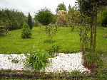 jardin .jpg