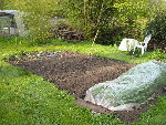 potager 1.jpg