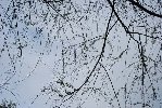 DSC_0145.jpg
