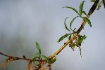 DSC_0147.jpg