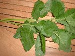 DSCF9863.JPG