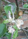 DSC00123r.jpg
