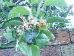 DSC00124r.jpg