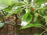 DSC00128r.jpg