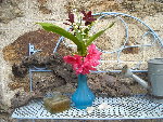 muguet.jpg
