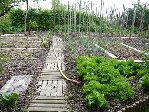Potager 2009 1.JPG