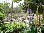 Potager 2009 2.JPG